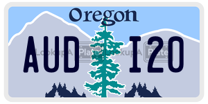AUDI20 license plate in Oregon