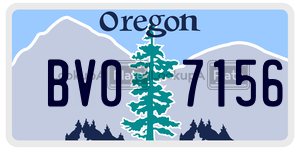 BV07156  license plate in OR