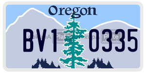 BV10335 license plate in Oregon