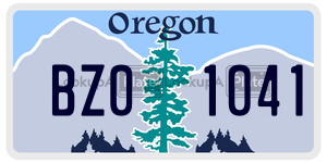 BZ01041  license plate in OR