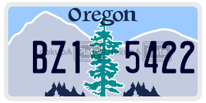 BZ15422  license plate in OR