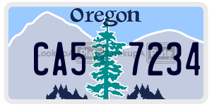 CA57234  license plate in OR