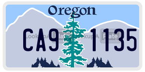 CA91135  license plate in OR