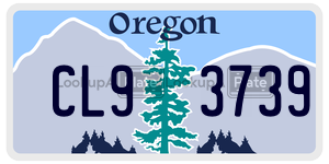 CL93739 license plate in Oregon