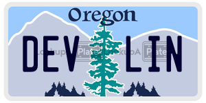 DEVLIN  license plate in OR