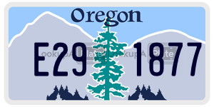 E291877 license plate in Oregon