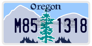 M851318  license plate in OR