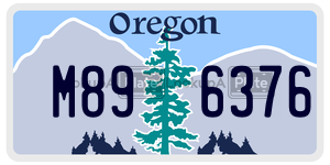 M896376 license plate in Oregon