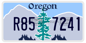 R857241  license plate in OR
