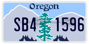SB41596 license plate in Oregon