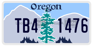 TB41476 license plate in Oregon