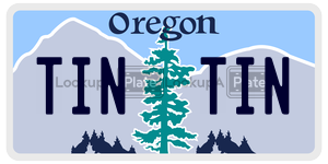 TINTIN license plate in Oregon