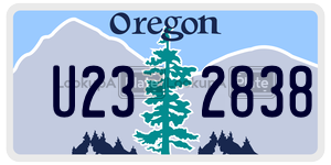 U232838  license plate in OR
