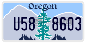 U588603 license plate in Oregon