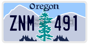 ZNM491  license plate in OR