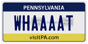 WHAAAAT  license plate in PA