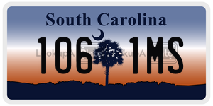 1061MS  license plate in SC