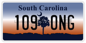 1090NG license plate in South Carolina