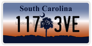 1173VE  license plate in SC