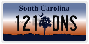 121DNS  license plate in SC