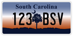 123BSV  license plate in SC