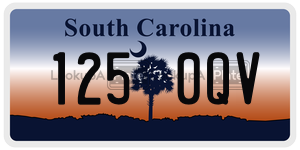 1250QV license plate in South Carolina
