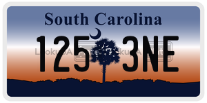 1253NE license plate in South Carolina