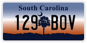 129BOV license plate in South Carolina