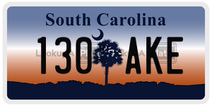 130AKE license plate in South Carolina