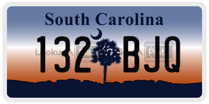 132BJQ license plate in South Carolina