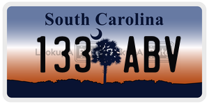 133ABV license plate in South Carolina