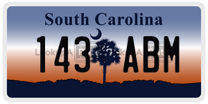 143ABM  license plate in SC