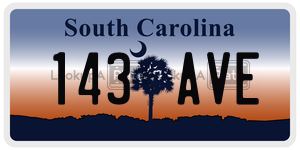 143AVE license plate in South Carolina