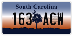 163ACW  license plate in SC