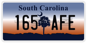 165AFE license plate in South Carolina