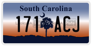 171ACJ  license plate in SC