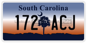 172ACJ  license plate in SC