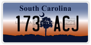 173ACJ  license plate in SC