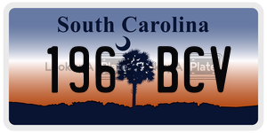 196BCV  license plate in SC