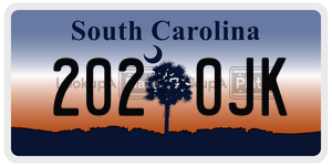 2020JK  license plate in SC