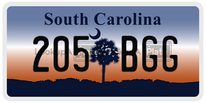 205BGG  license plate in SC