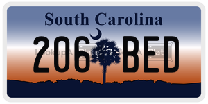 206BED license plate in South Carolina