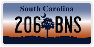 206BNS  license plate in SC