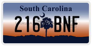 216BNF  license plate in SC