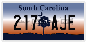 217AJE  license plate in SC