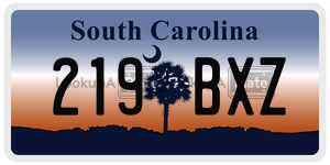 219BXZ  license plate in SC