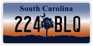 224BLQ  license plate in SC