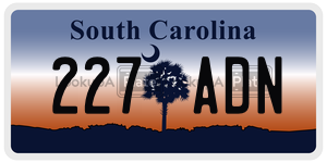 227ADN  license plate in SC