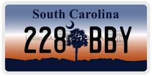 228BBY license plate in South Carolina