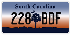 228BDF license plate in South Carolina